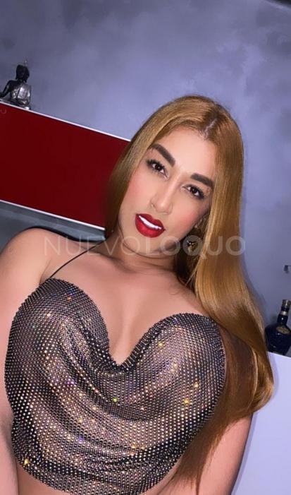 NuevoLoquo3