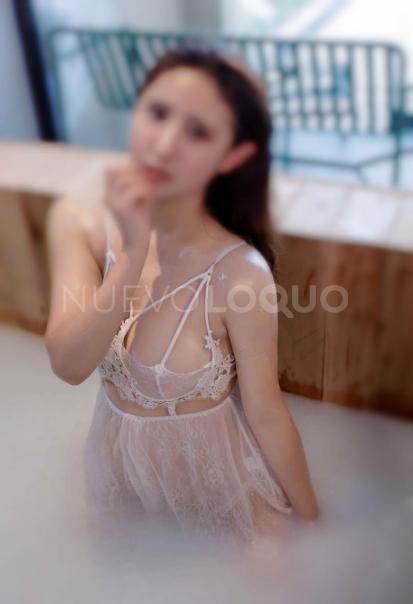 NuevoLoquo5
