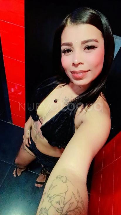 NuevoLoquo2