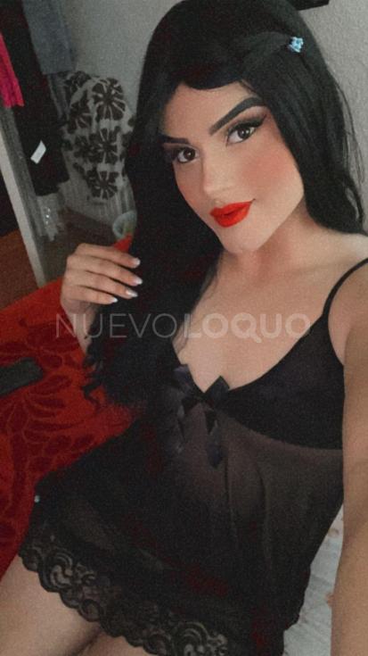 NuevoLoquo2