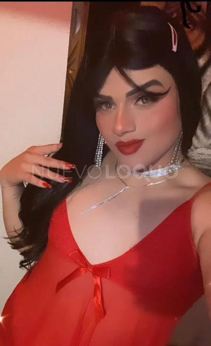 NuevoLoquo3