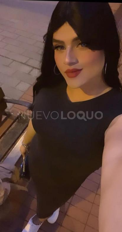 NuevoLoquo5