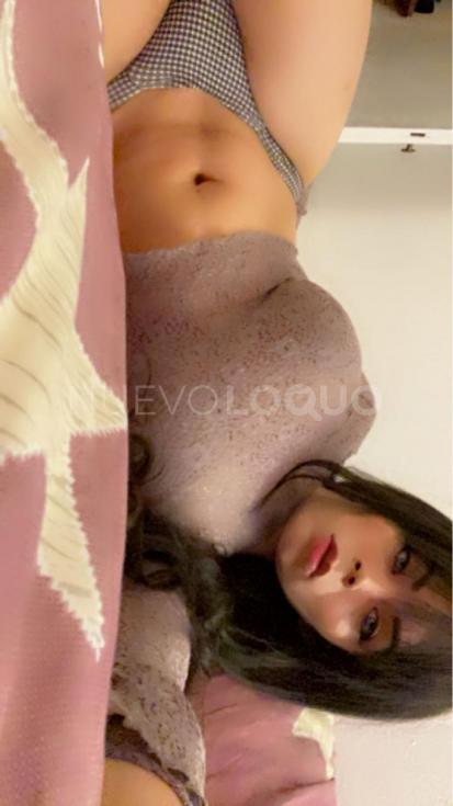 NuevoLoquo2