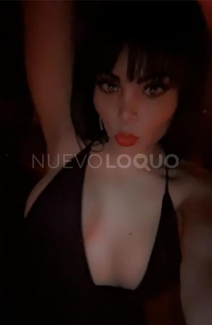 NuevoLoquo3