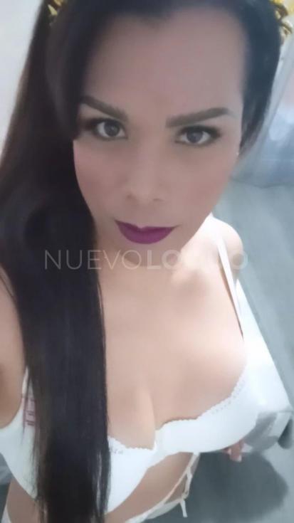 NuevoLoquo2