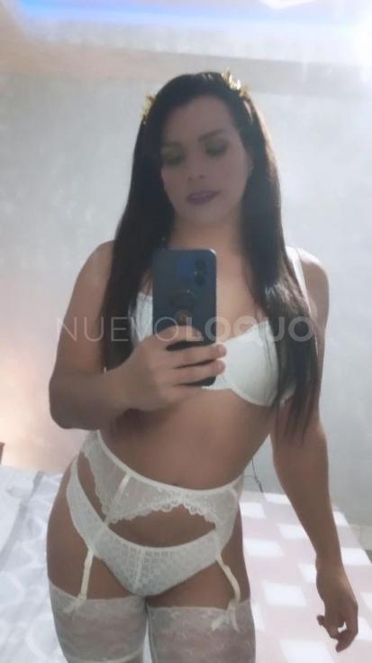NuevoLoquo3