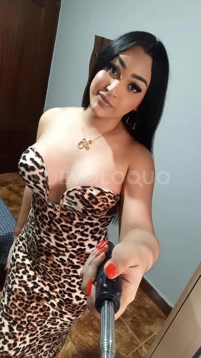 NuevoLoquo3