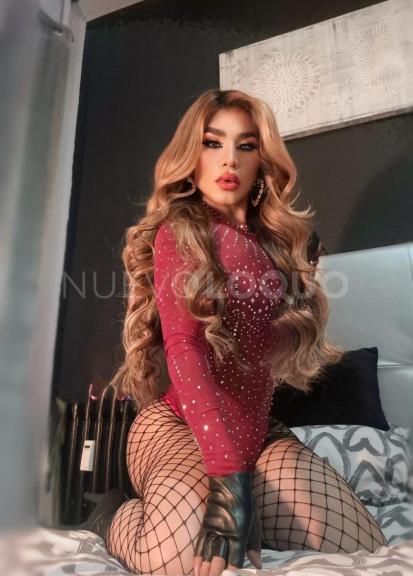NuevoLoquo2