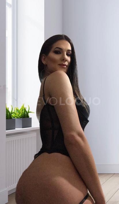 NuevoLoquo3