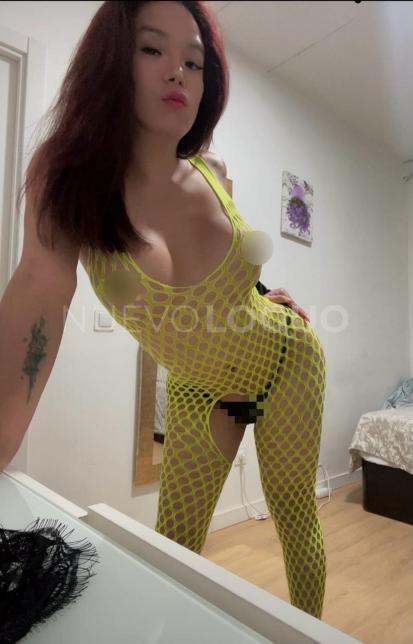 NuevoLoquo3