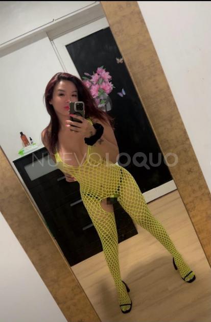 NuevoLoquo4