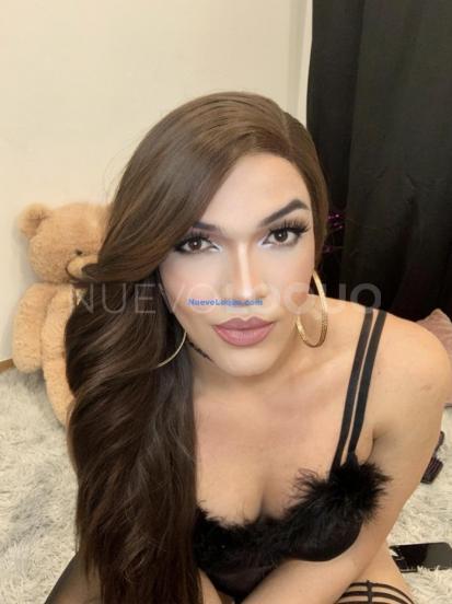 NuevoLoquo1