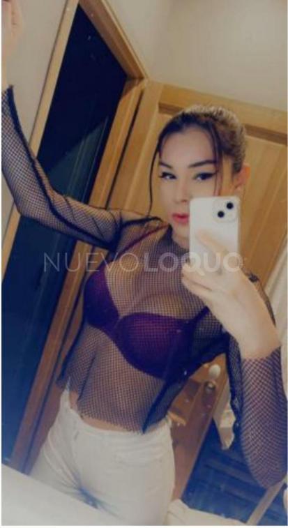 NuevoLoquo5