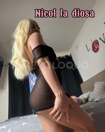 NuevoLoquo3