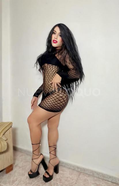 NuevoLoquo4