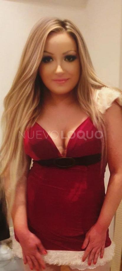 NuevoLoquo5