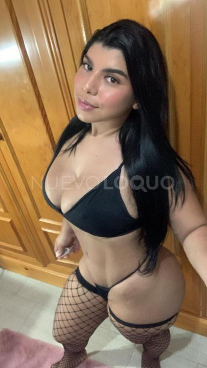 NuevoLoquo3