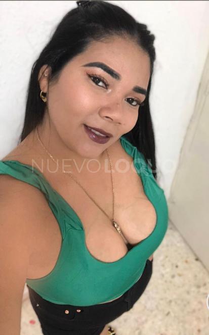 NuevoLoquo3