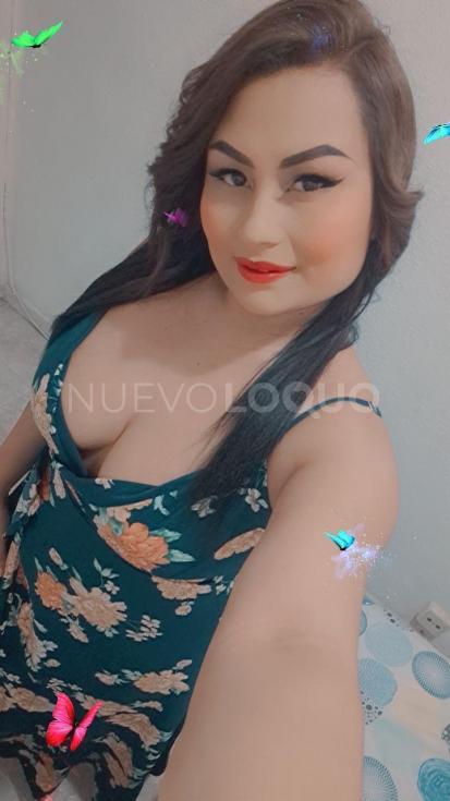 contactos pasion