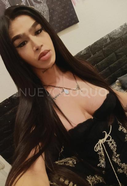 NuevoLoquo1