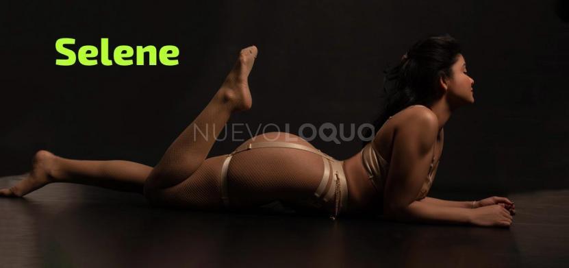 NuevoLoquo5