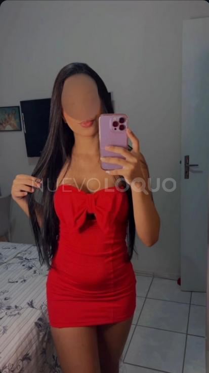 NuevoLoquo2