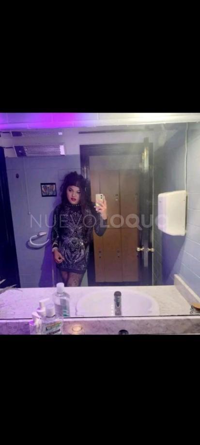 NuevoLoquo2