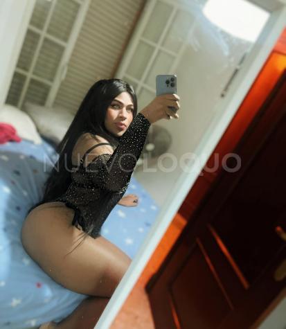 NuevoLoquo3