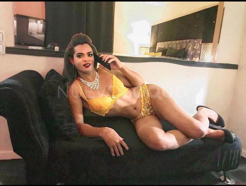NuevoLoquo1