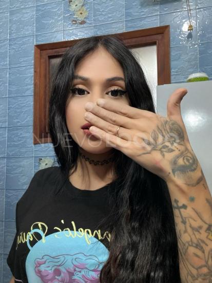 NuevoLoquo3