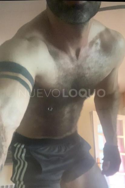 NuevoLoquo3
