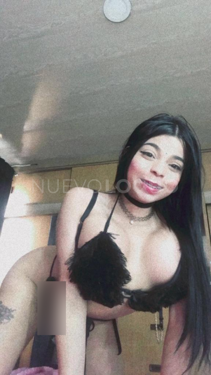 NuevoLoquo2