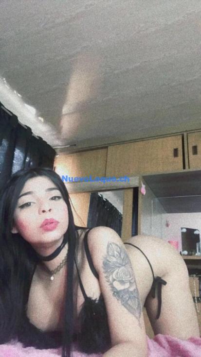 NuevoLoquo3
