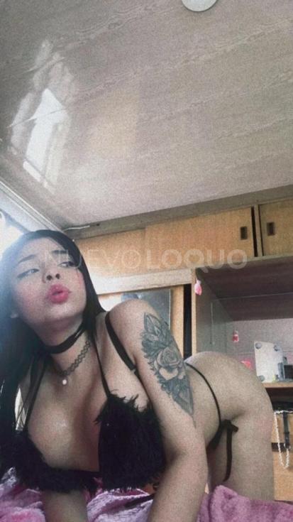 NuevoLoquo5
