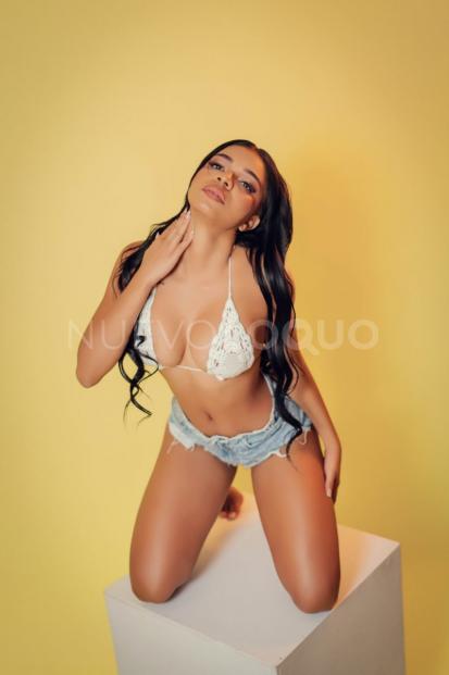 NuevoLoquo2