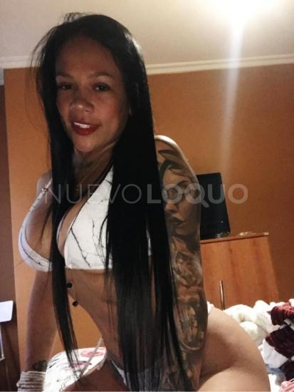 NuevoLoquo1