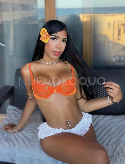 NuevoLoquo4