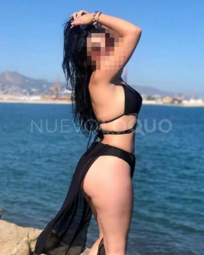NuevoLoquo3