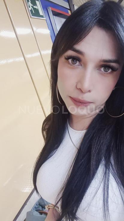 NuevoLoquo4