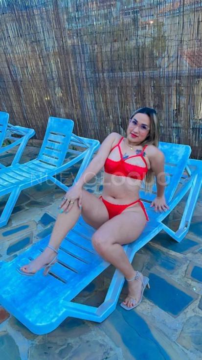 NuevoLoquo2