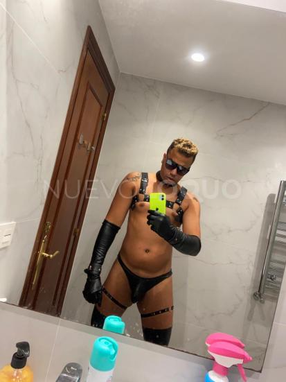 NuevoLoquo4