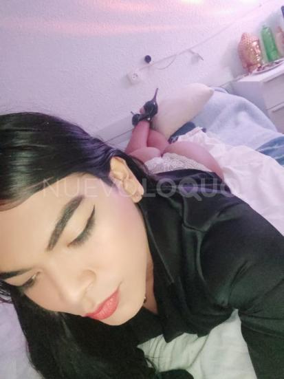 NuevoLoquo2