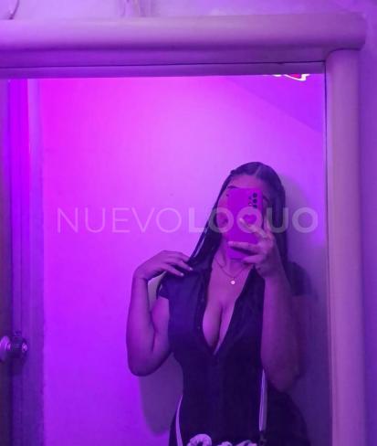 NuevoLoquo3