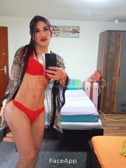 NuevoLoquo4