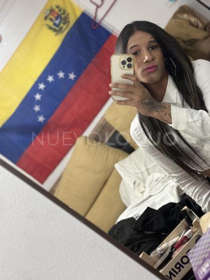 NuevoLoquo2
