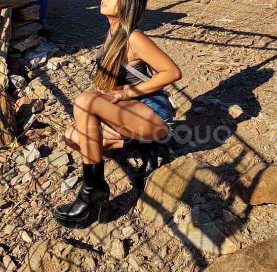 NuevoLoquo2