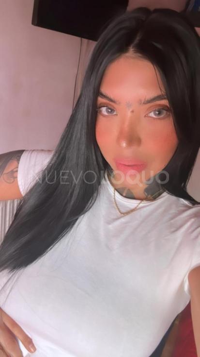NuevoLoquo1
