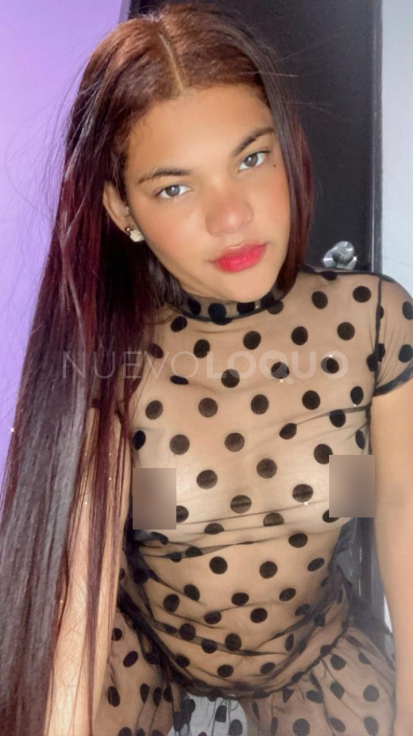 NuevoLoquo2