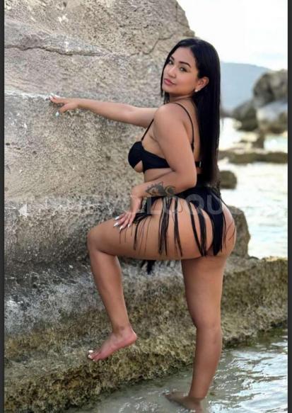 NuevoLoquo4
