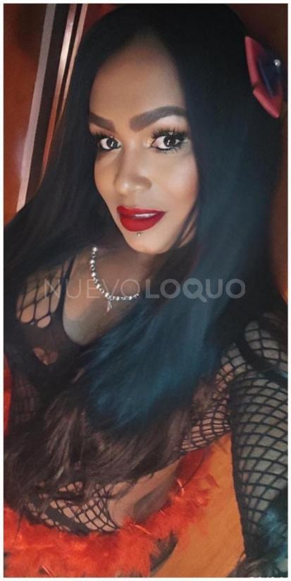 NuevoLoquo1